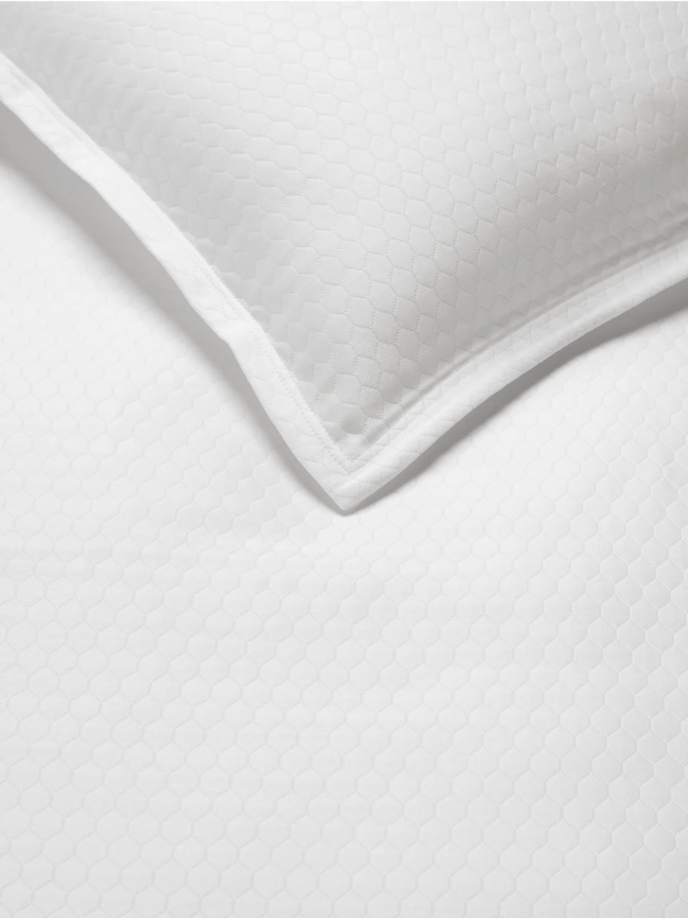 SFERRA LORD AND TAYLOR Coverlet